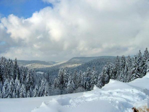 Les Chenes Rouges Daire Gérardmer Dış mekan fotoğraf